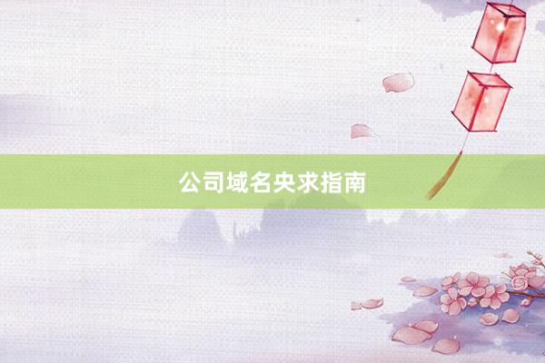 公司域名央求指南