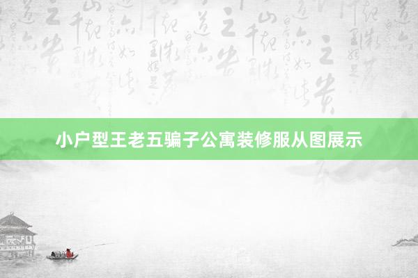 小户型王老五骗子公寓装修服从图展示
