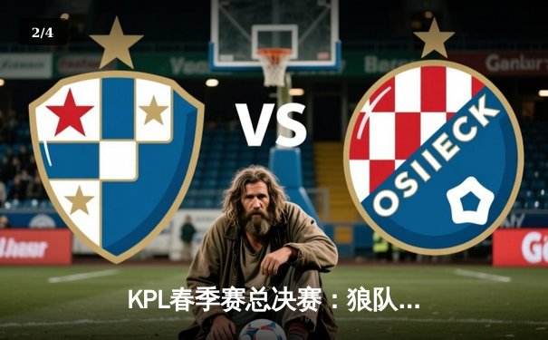 KPL春季赛总决赛：狼队鏖战七局终夺冠，Fly斩获FMVP创历史纪录 - 2